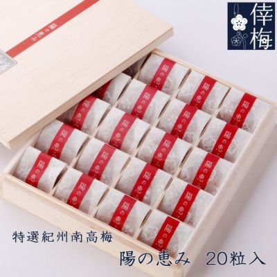 小分けパック 特選紀州南高梅 4品セット 250ｇ×4 | 紀州南高梅 倖梅